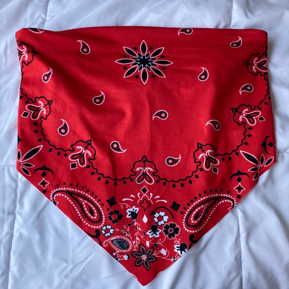 Red paisley tie bandana crop top